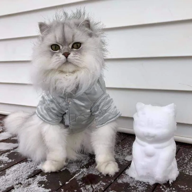 Cat Snowball Maker